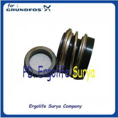 Mechanical Seal for Grundfos NBG 50-32-125 or NKG 50-